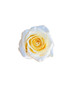 Candlelight Roses - 25st.