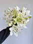 Asiatic Lily White (Ca-Grown) - 10st. 