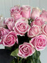 Rosita Vendela Roses - 25st.
