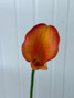 Mini Calla Lily Orange - 10st.