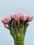 Brownie Parrot Tulips - 10 stems