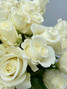 Tibet Roses (White) - 25 stem