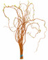 Curly Willow Tip (3-4ft) - 10st