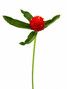 Gomphrena Globe Red- 10st.