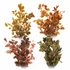 Four examples of assorted preserved Copper Beech bunches in golden yellow, copper orange, reddish bronze, and olive green on a white background. Actual assortment may vary.