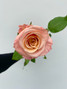 Shimmer Roses - 25 stems