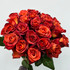 Coffee Break Ecuadorian Roses bunch