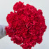 Carnations Red - 25st