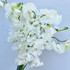 Sweet Peas White - 10st