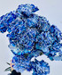 blue carnations wholesale