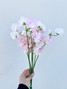 light pink sweet peas wholesale