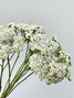 Cottage Yarrow White - 10st