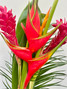 Tropical Mix Regular Bouquet  