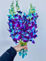 Dendrobium Orchid Blue  - 10st