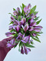 Alstroemerias Lavender - 10st