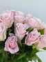 Sweet Escimo Roses - 25st. 