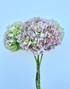 Antique Hydrangea Green Box - 15st. 