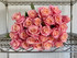 Miss Piggy Rose - 25st.