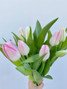 Tulips Light Pink Boxlot  - 30bu. (300st. total)