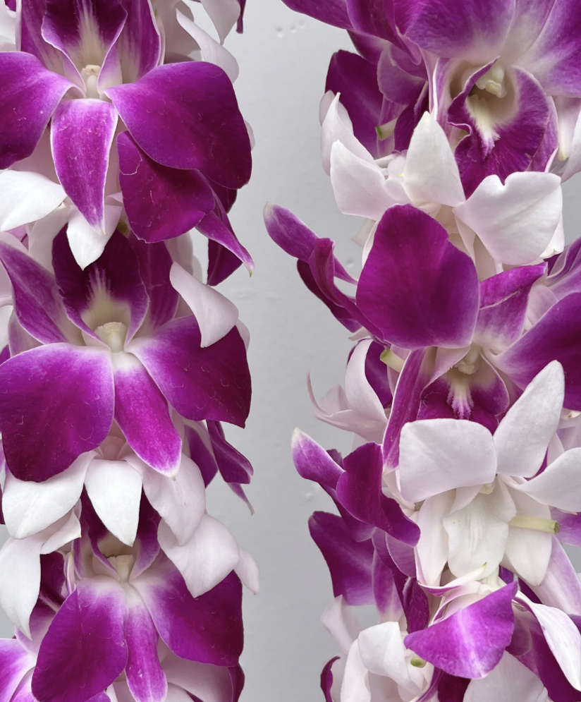 Orchid Leis