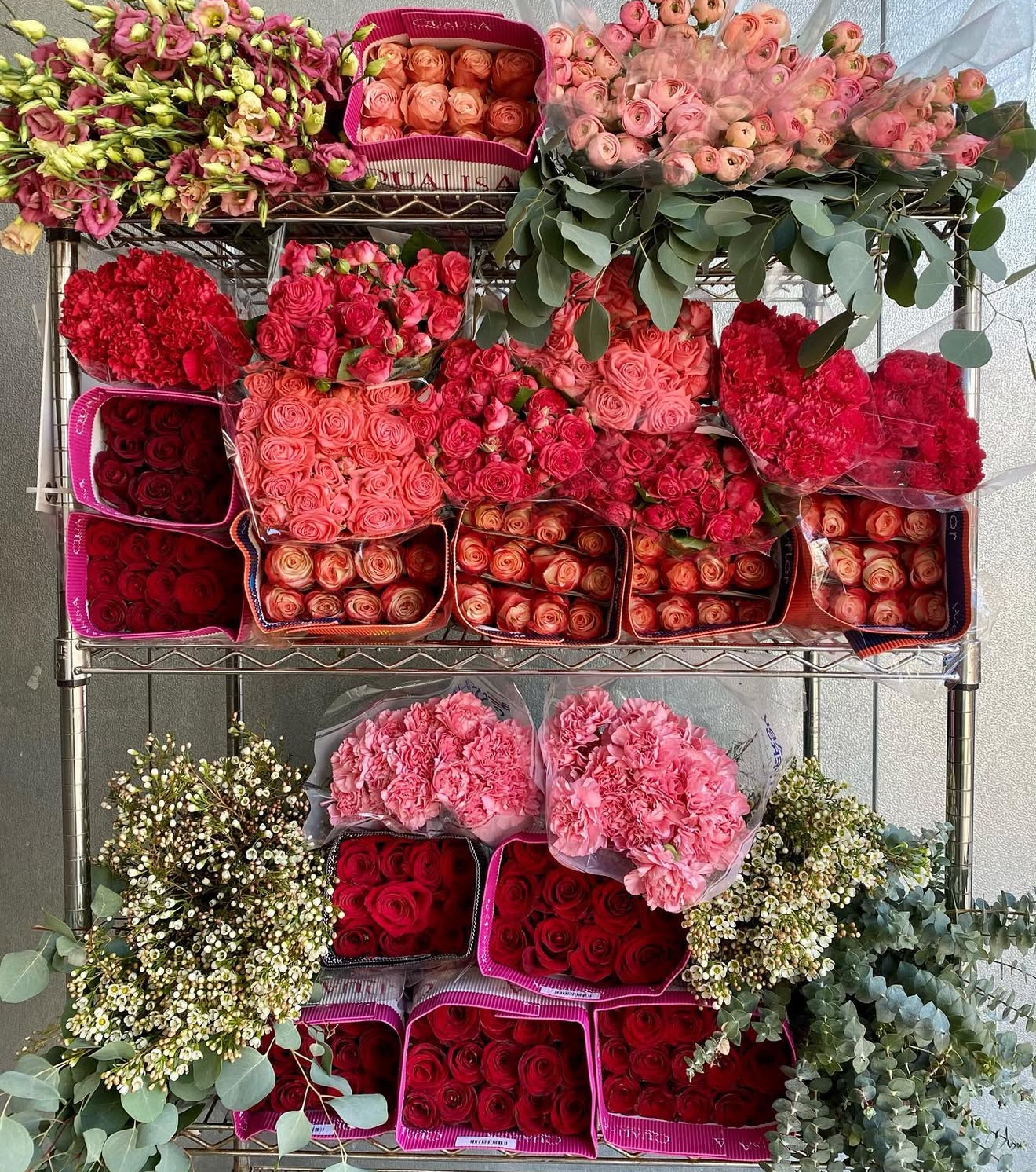 Romantic Red, Terracotta & Coral Palette