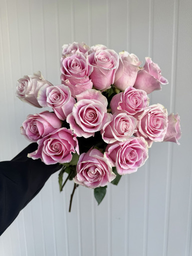 Rosita Vendela Roses - 25st. - Ramirez Wholesale Flowers Inc