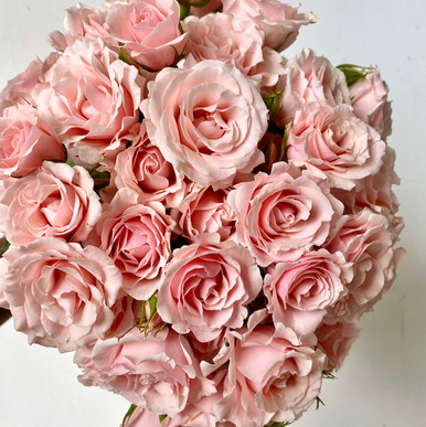 rose rose✨ F1EBD2DC-C3EB-452C-A574-