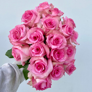 25 Light Pink Glitter Roses