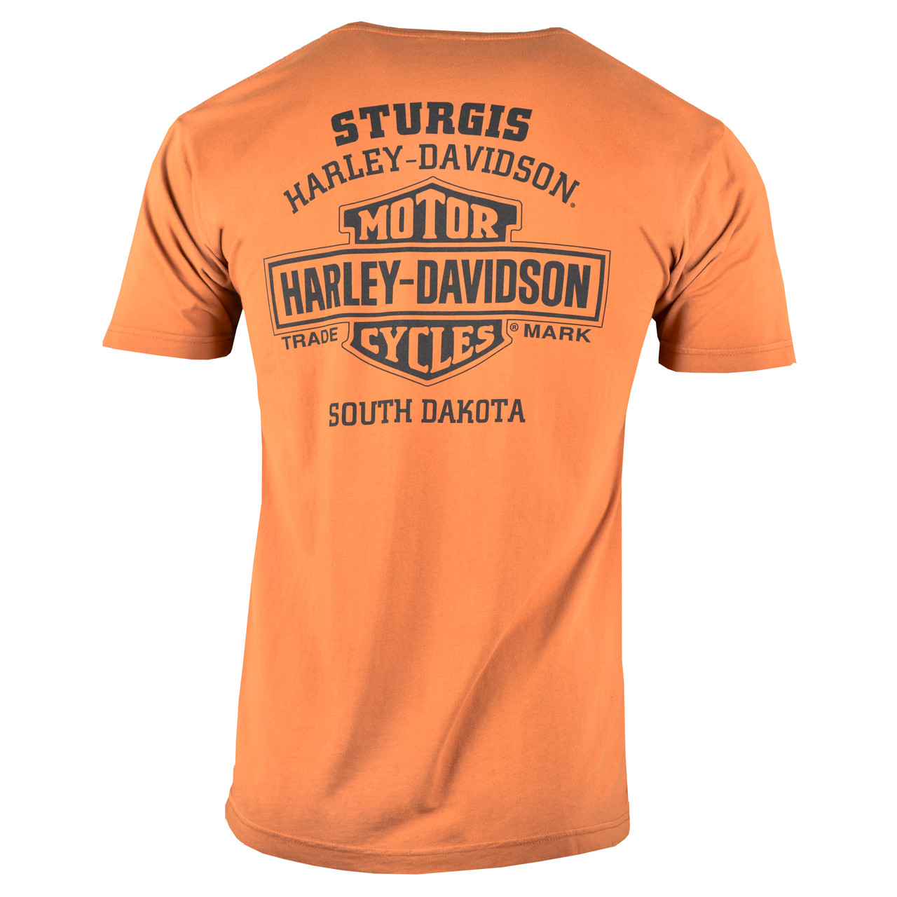 Harley Davidson Men's T-Shirt - Black - XL