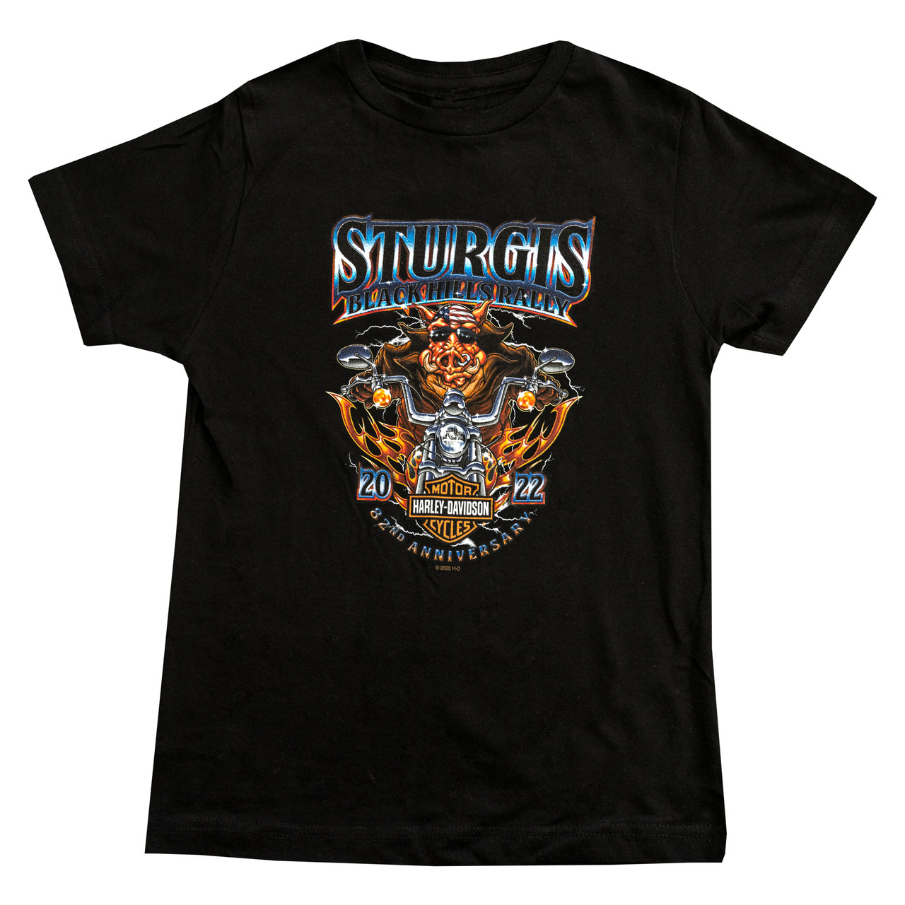 95 Harley Davidson Sturgis Tshirt - Shirts