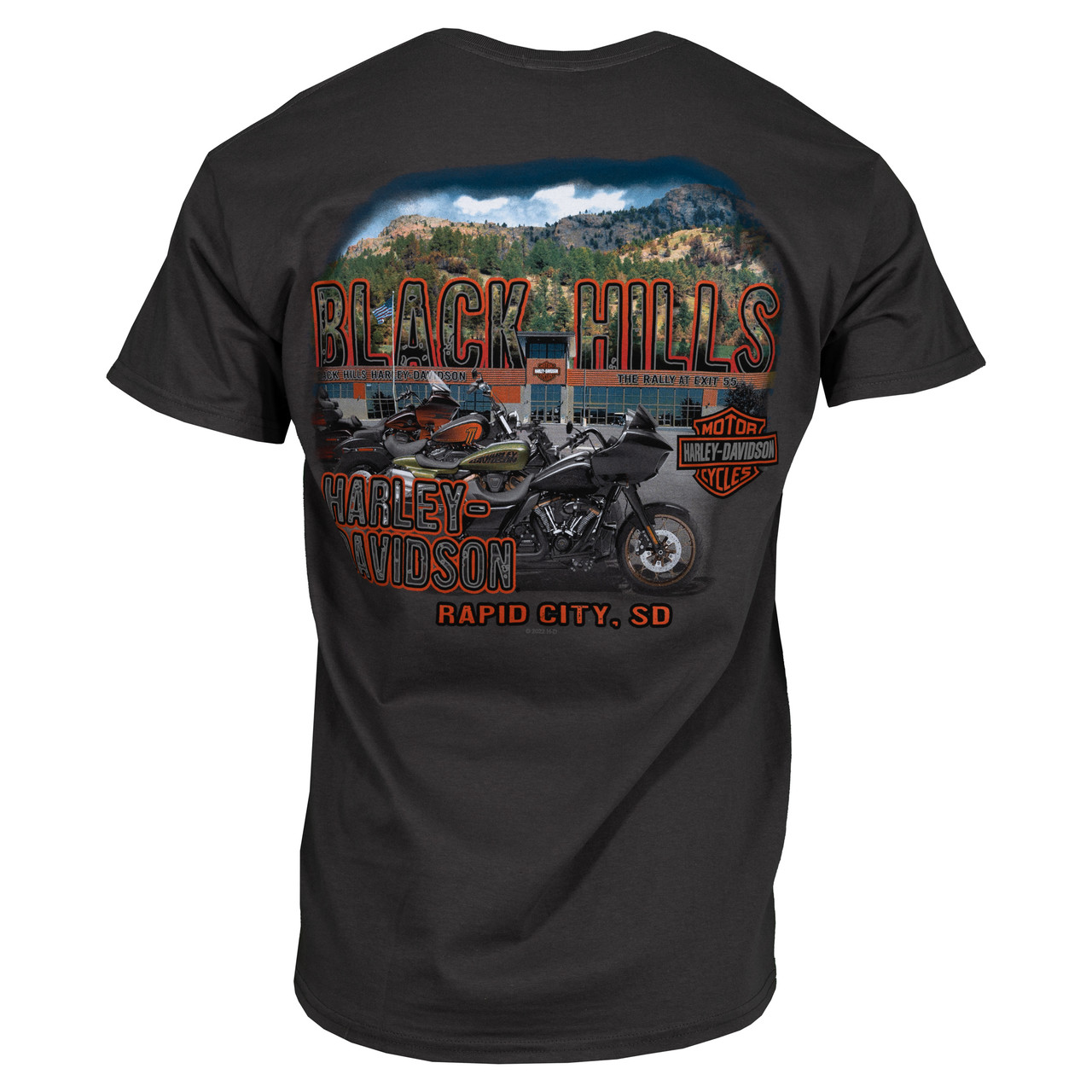 STURGIS BLACK HILLS RALLY バイカー Tシャツ L 2002 Harley Davidson Sturgis Black Hills Rally T-shirt