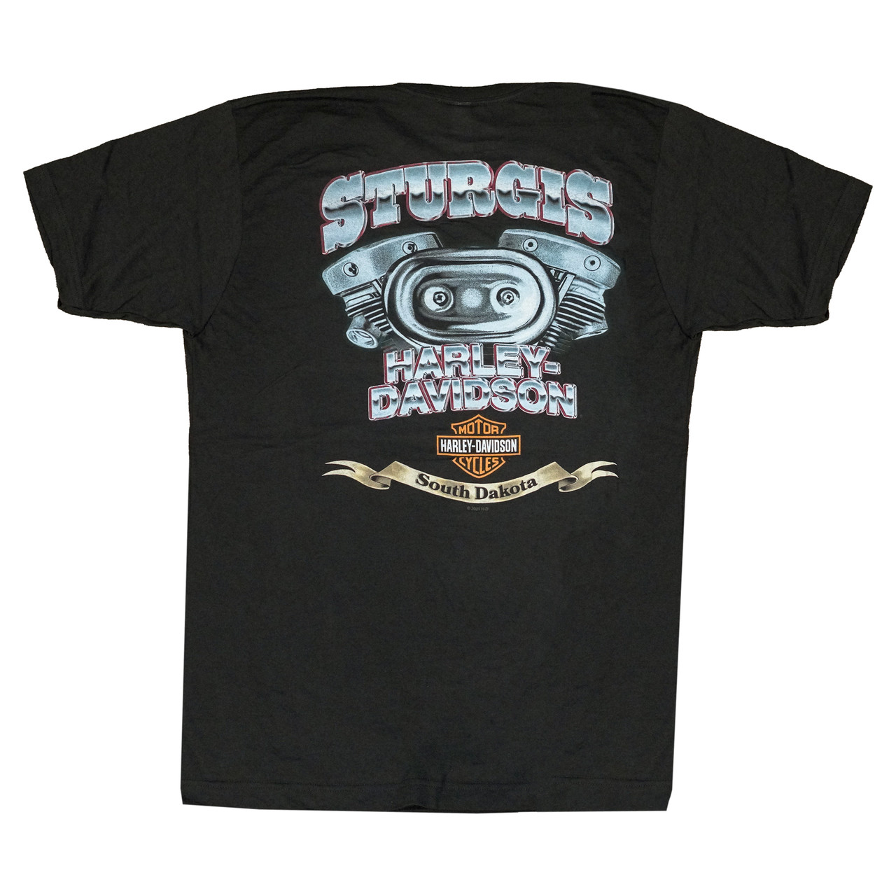 STURGIS BLACK HILLS RALLY バイカー Tシャツ L Y2K 2004 64th Annual Sturgis T-Shirt Black Hills Rally Mens