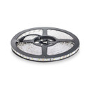 Spectric 4.8W 4mm 602835 Single Colour 12V LED Strip Light IP67 5m Reel