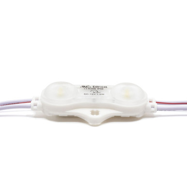 1W 2 LED Signage Module Light (Pack Of 20)