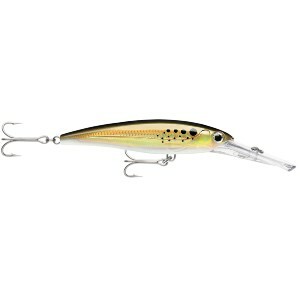 Fishing Accessories