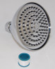Shower Head in Polished Chrome