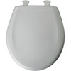 Plastic Round Slow-Close Toilet Seat in Ice Grey