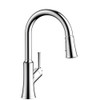 Hansgrohe 04793000 Joleena HighArc Kitchen Faucet, 2-Spray Pull-Down, 1.75 GPM in Chrome
