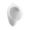 Toto UT104EV#01 3/4-in Rear Spud Wall Mounted Urinal Fixture in Cotton