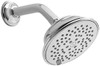Multi Function Shower Head in Brushed Nickel