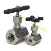 Globe Valve, FNPT, Carbon Steel, 100 Deg F, 1-in