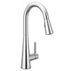 Chrome One-Handle Pulldown Kitchen Faucet