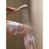 H2Okinetic Single-Setting Hand Shower in Brilliance Stainless