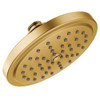 Moen S176BG 2.5 GPM Single Function Spray Head Rainshower in Brushed Gold