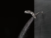 SHOWERHEAD 58580-SS-PK