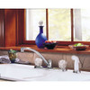Delta 2402LF Two Handle Kitchen Faucet with Spray in Polished Chrome