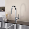 Blanco 526390 Urbena Single-Lever Pull-Down Kitchen Faucet with 1.5 GPM in Polished Chrome