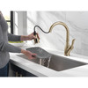 Delta 9178-CZ-DST Leland 11.47-in x 10.44-in x 14.88-in Single-Handle Pull-Down Kitchen Faucet with Shieldspray Technology, Champagne Bronze