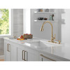 Delta 19893Z-CZSD-DST Boyd 11.63-in x 10.75-in x 16.50-in Single-Handle Pull-Down Kitchen Faucet with Soap Dispenser and Shieldspray Technology, Champagne Bronze