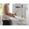 Delta 19893Z-CZSD-DST Boyd 11.63-in x 10.75-in x 16.50-in Single-Handle Pull-Down Kitchen Faucet with Soap Dispenser and Shieldspray Technology, Champagne Bronze